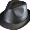Henschel Leather Fedora Hat